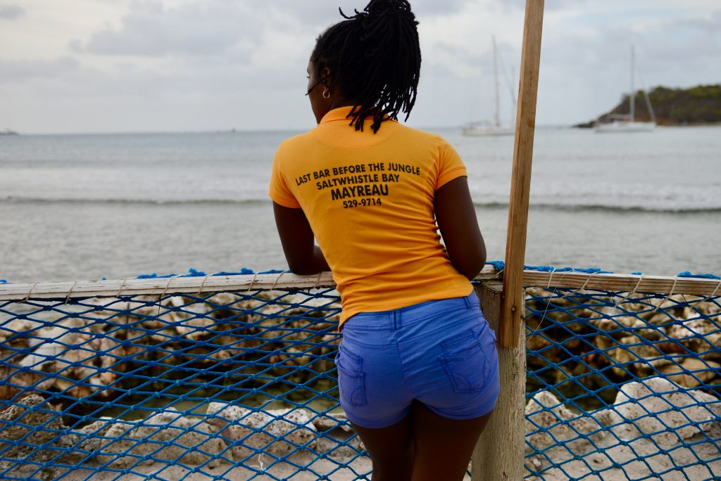 St. Vincent & the GrenadinesEpic Journeys 2014 Guyana Grenada St. Vincent & the Grenadines ST. Kitts & Nevis Miami (1)