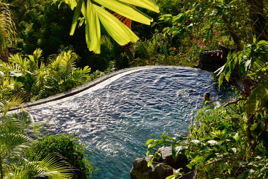 St. Vincent & the GrenadinesEpic Journeys 2014 Guyana Grenada St. Vincent & the Grenadines ST. Kitts & Nevis Miami (4)