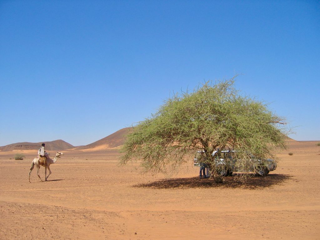Sudan 2005 (11)