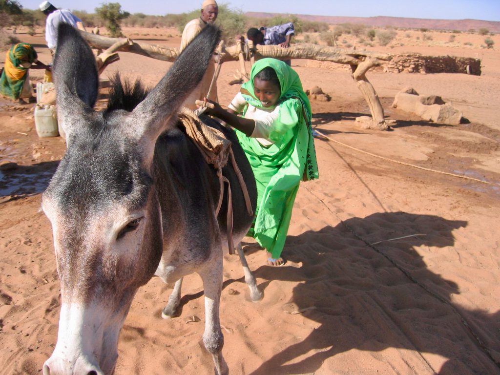 Sudan 2005 (12)