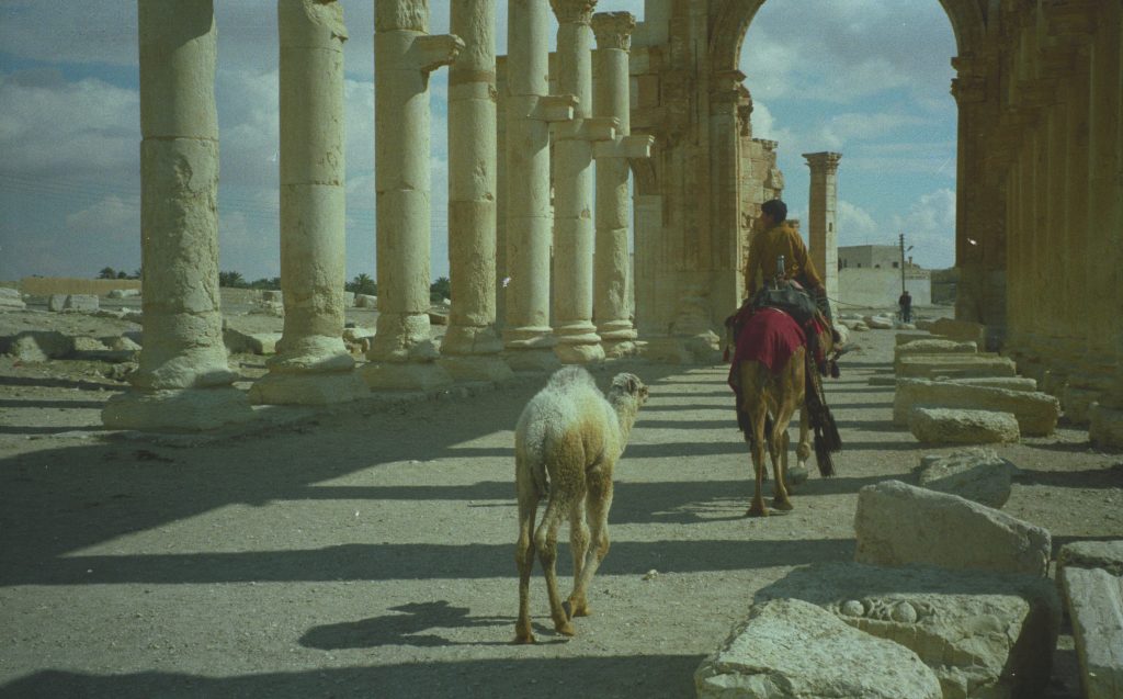 Syrien 1993 1994 (2)