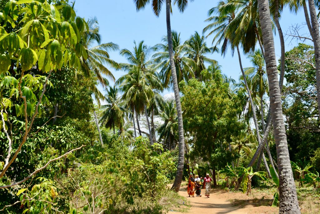 Tansania 2016 (21)