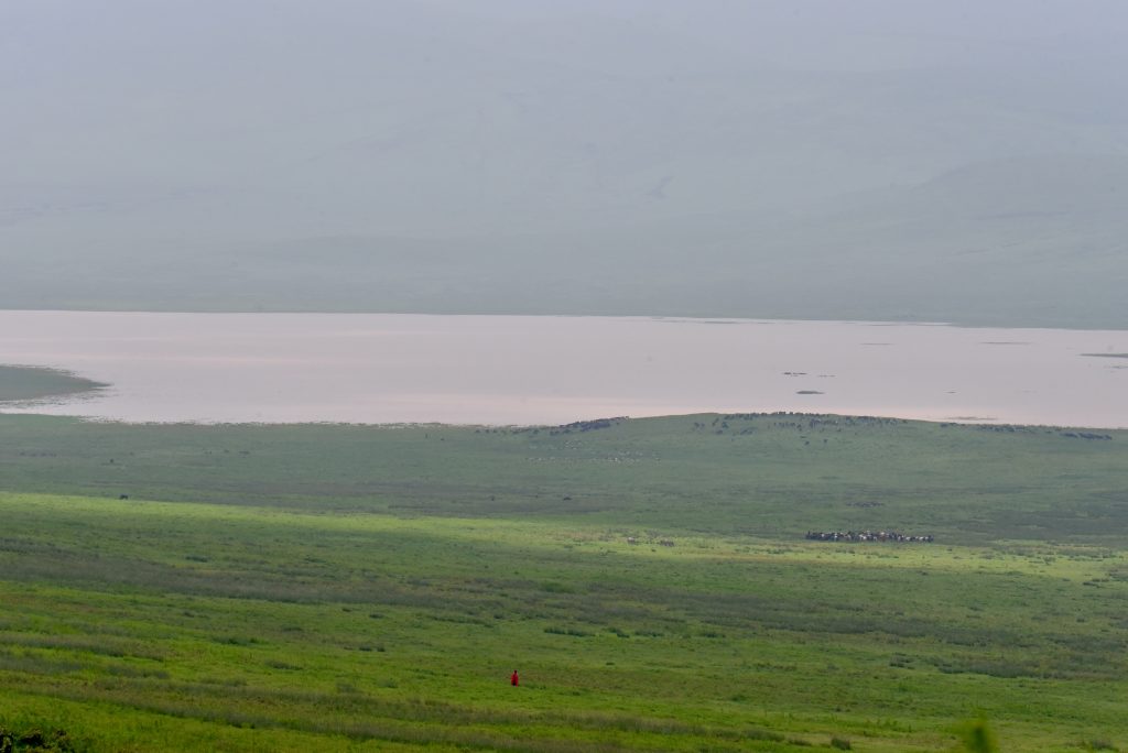 Tansania 2020 Sansibar Ngorongoro Krater (1)