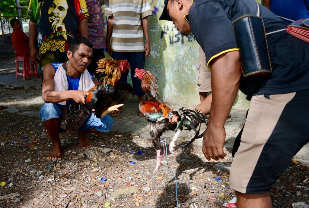 Timor Leste 2017 (12)