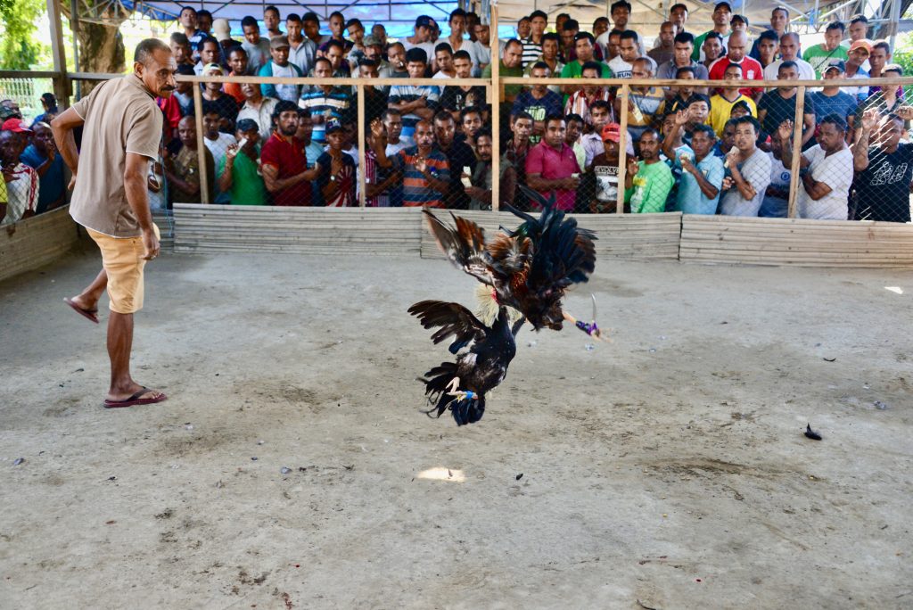 Timor Leste 2017 (14)