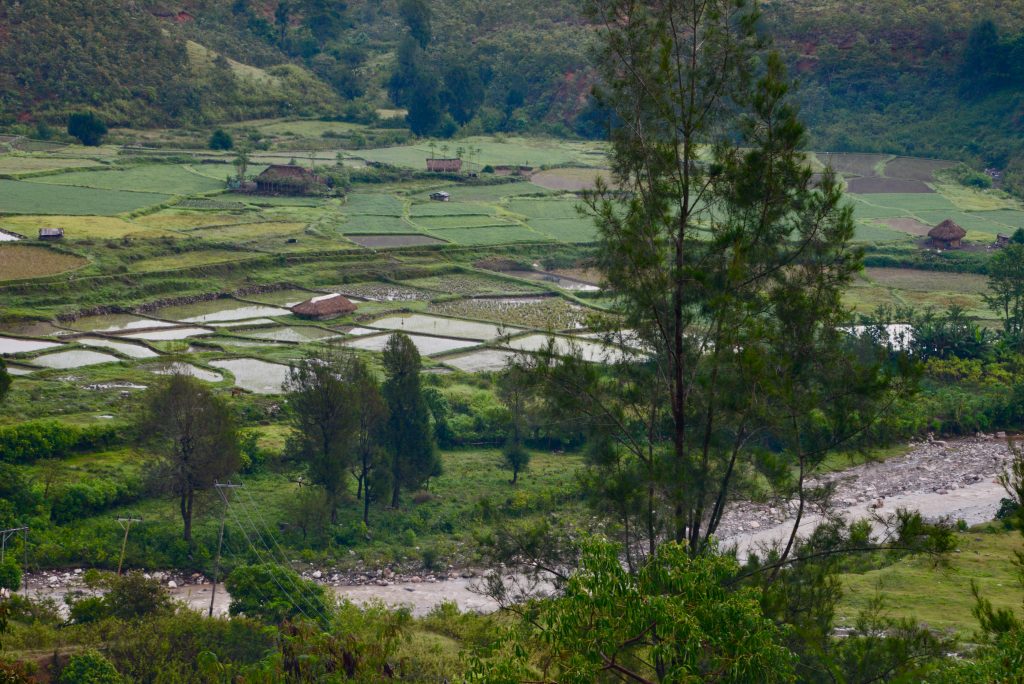 Timor Leste 2017 (22)