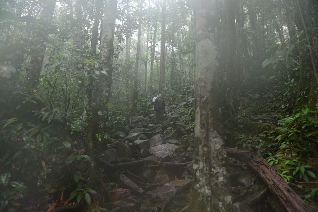 Venezuela 2014 (41)