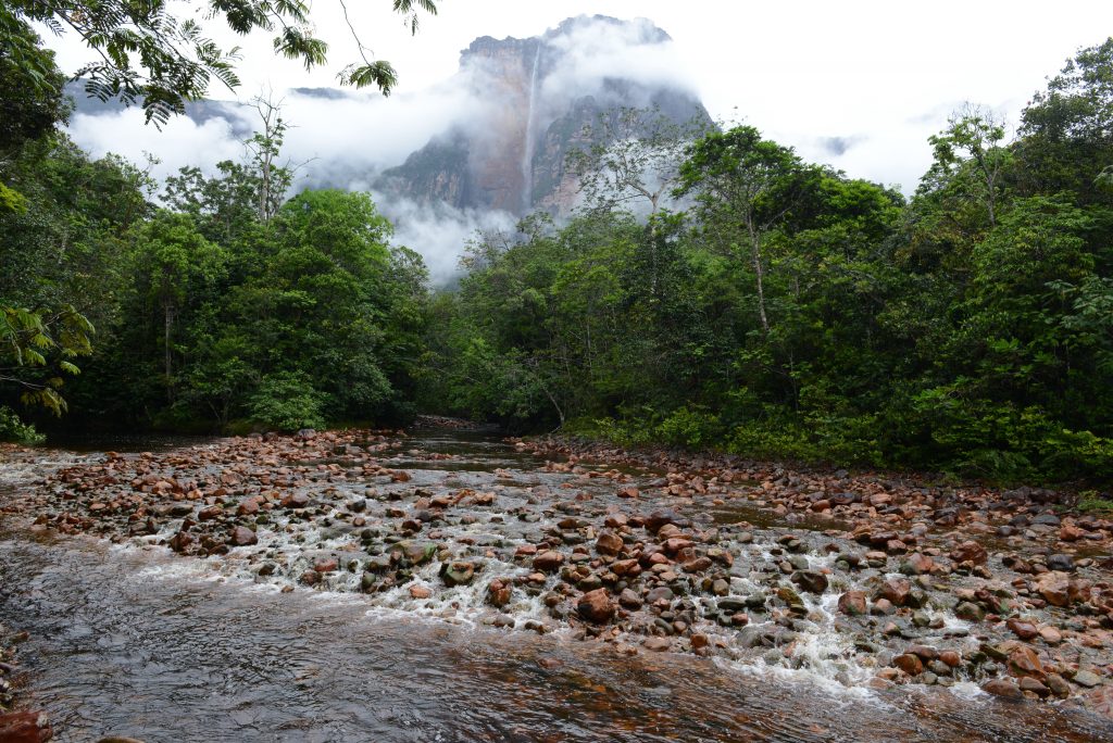 Venezuela 2014 (42)
