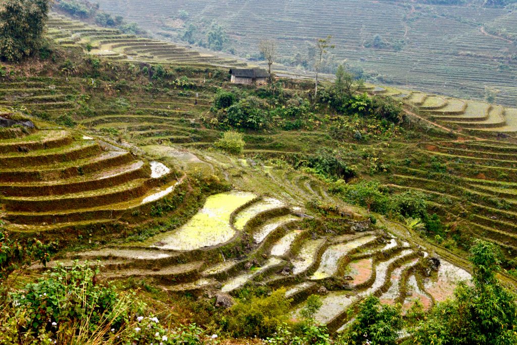 Vietnam 2016 (1)