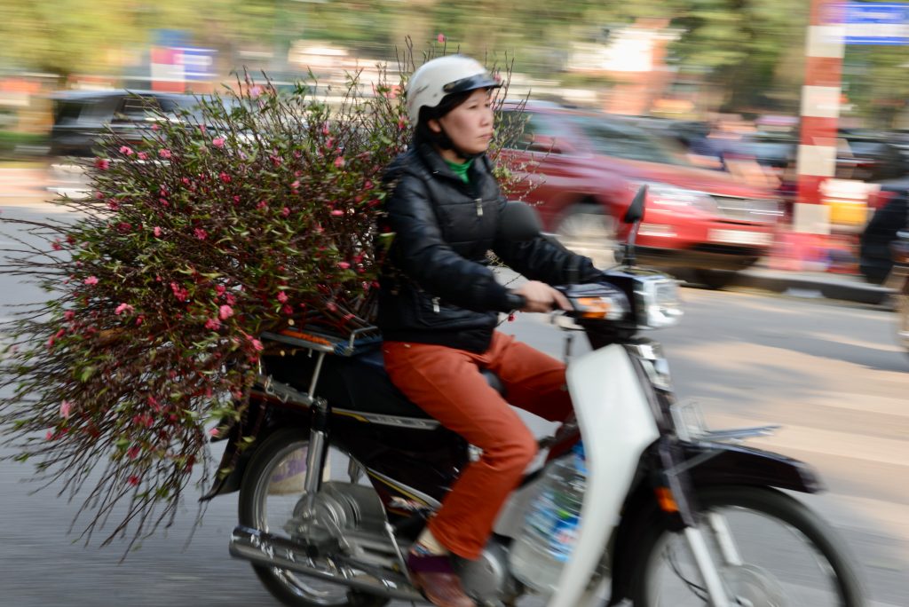 Vietnam 2016 (27)