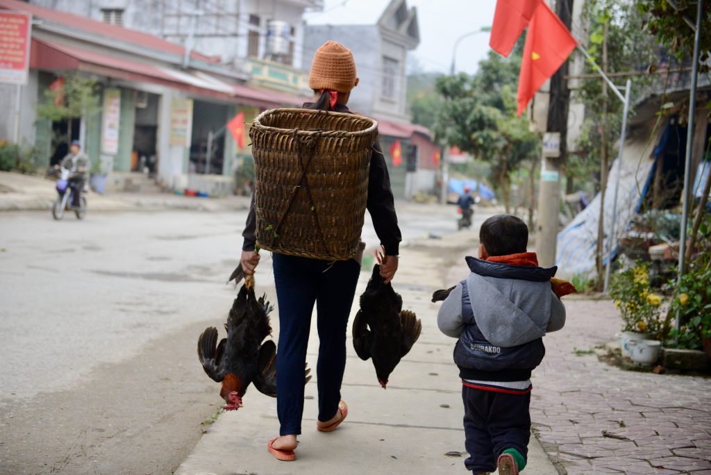 Vietnam 2016 (4)