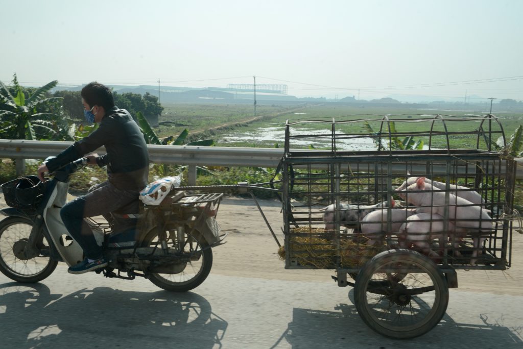 Vietnam 2016 (40)