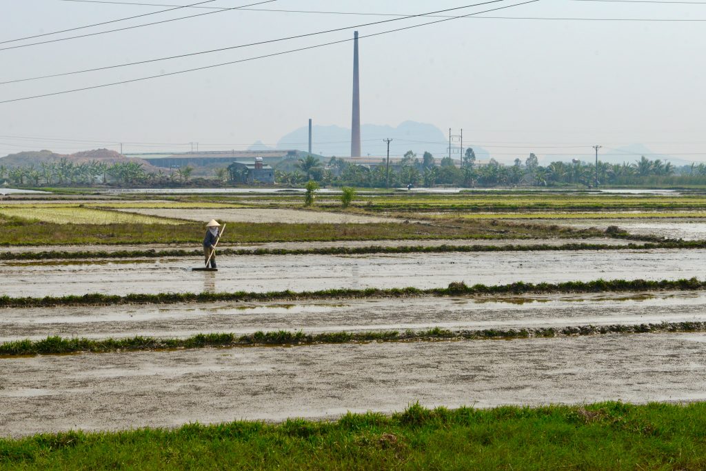 Vietnam 2016 (41)