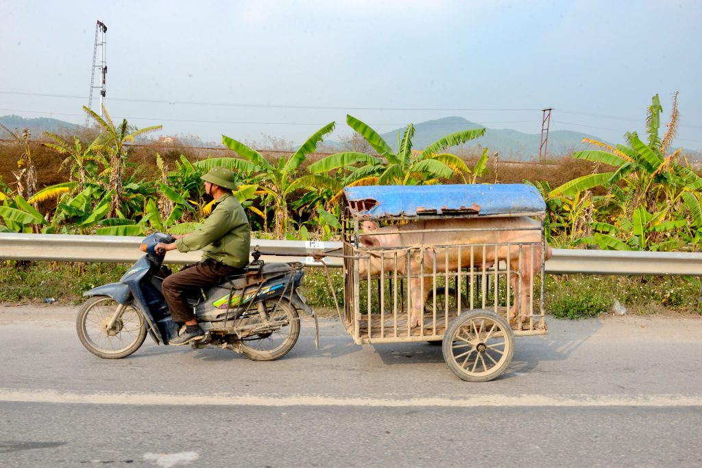 Vietnam 2016 (42)