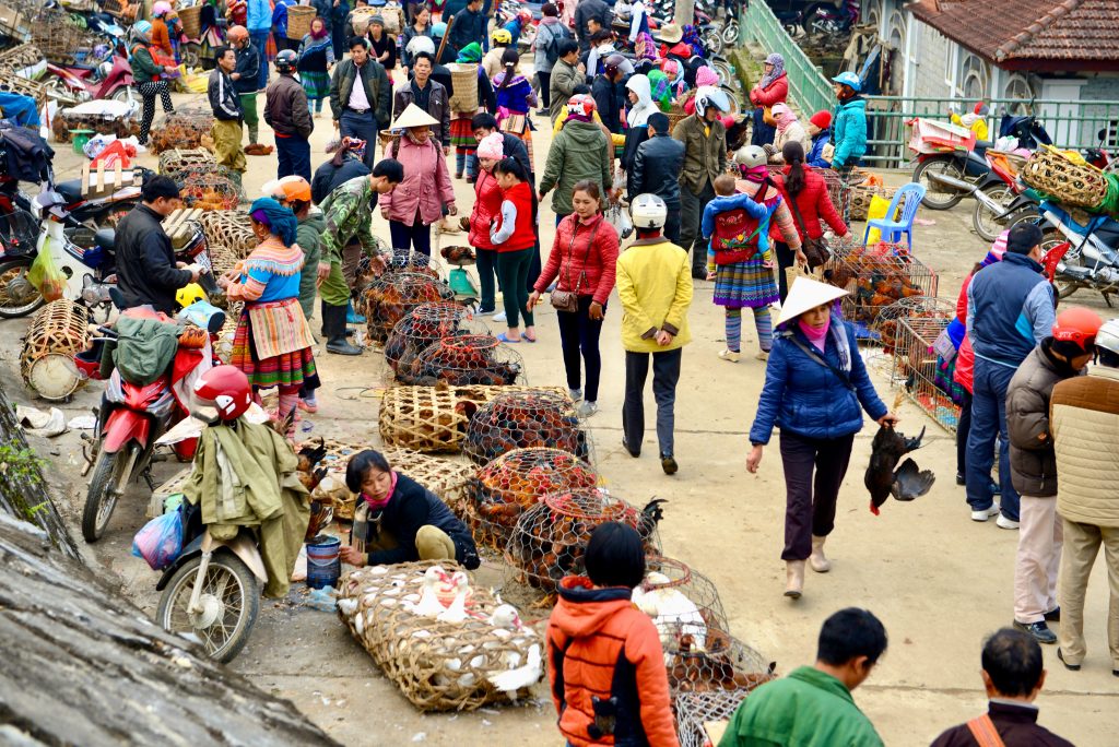 Vietnam 2016 (5)