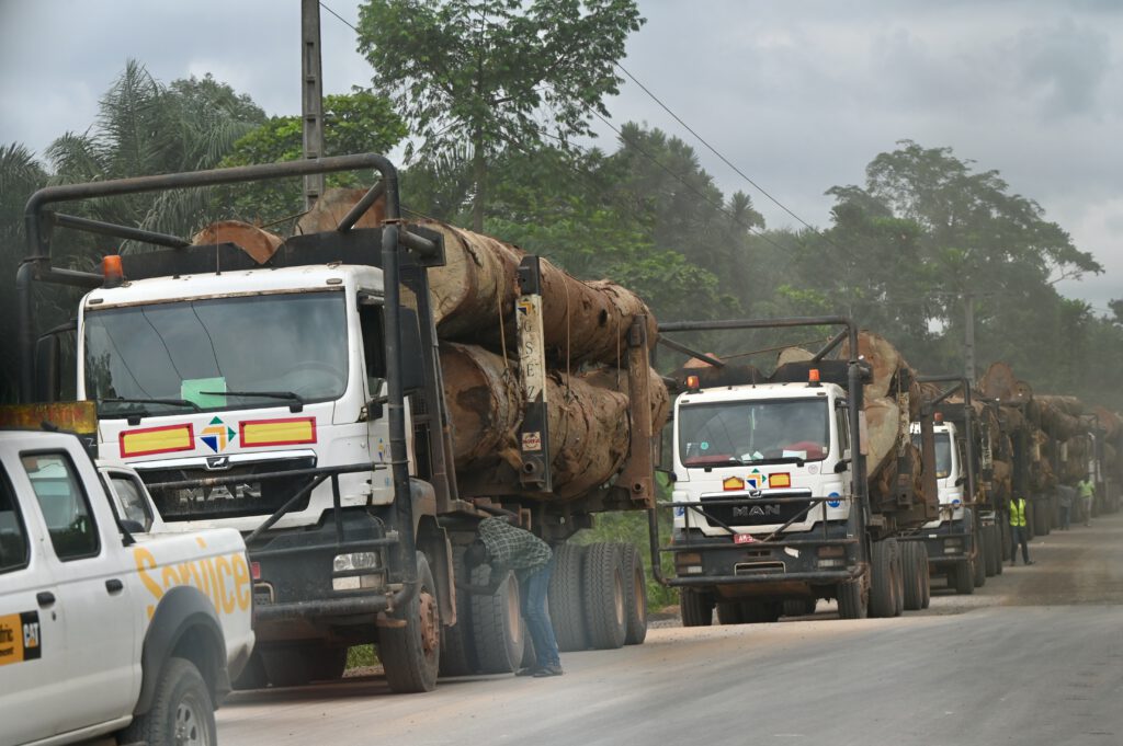 Gabun 2023 Libreville Lambarene Loango Nationalpark Port Gentil Libreville