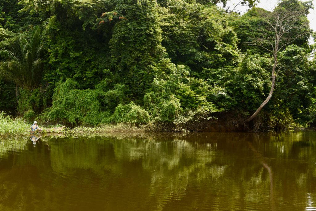 Gabun 2023 Libreville Lambarene Loango Nationalpark Port Gentil Libreville