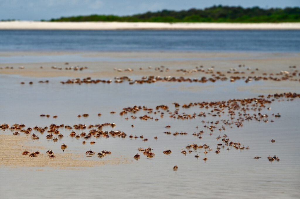 Gabun 2023 Libreville Lambarene Loango Nationalpark Port Gentil Libreville