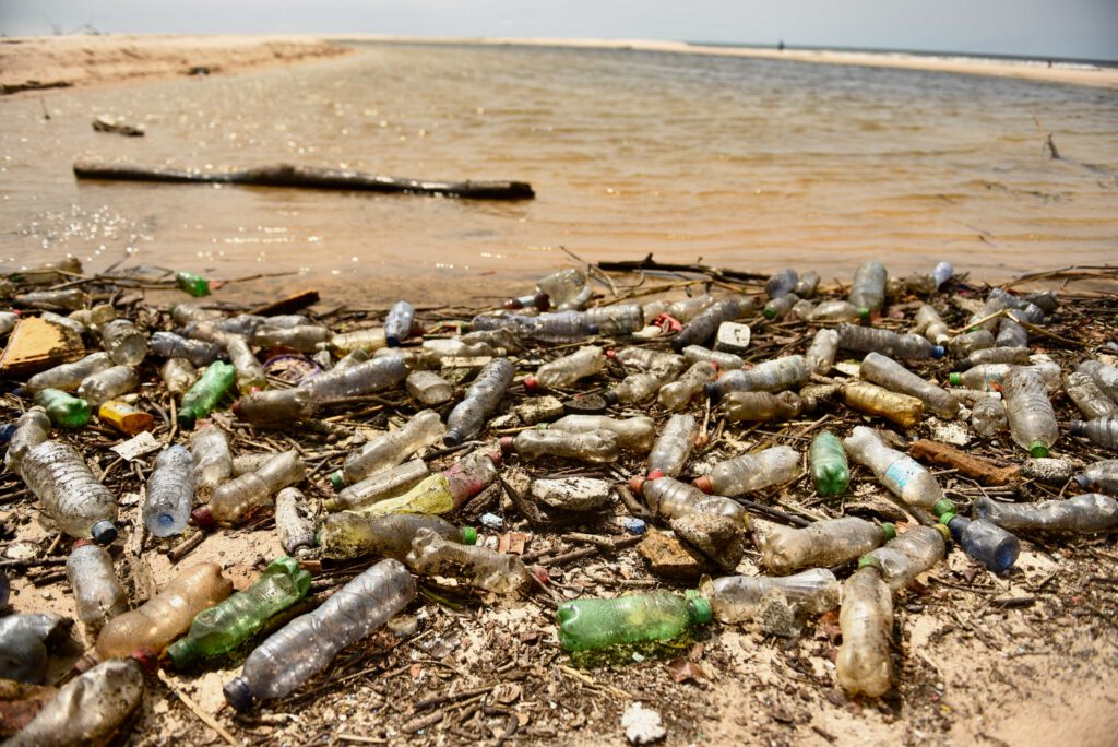 Gabun 2023 Libreville Lambarene Loango Nationalpark Port Gentil Libreville