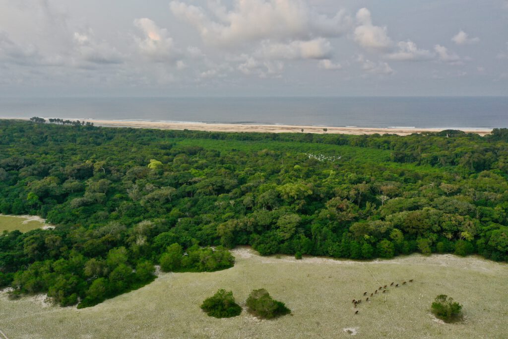 Gabun 2023 Libreville Lambarene Loango Nationalpark Port Gentil Libreville