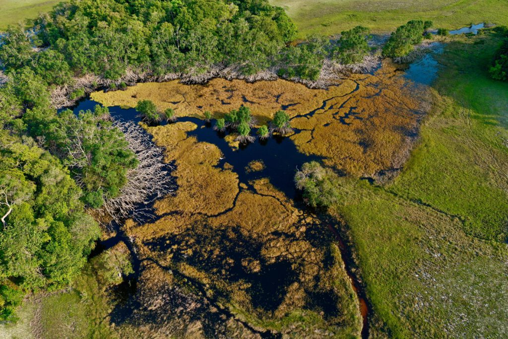 Gabun 2023 Libreville Lambarene Loango Nationalpark Port Gentil Libreville