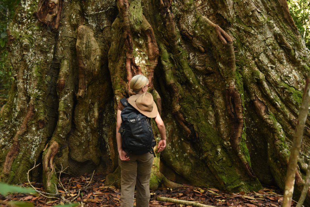 Gabun 2023 Libreville Lambarene Loango Nationalpark Port Gentil Libreville