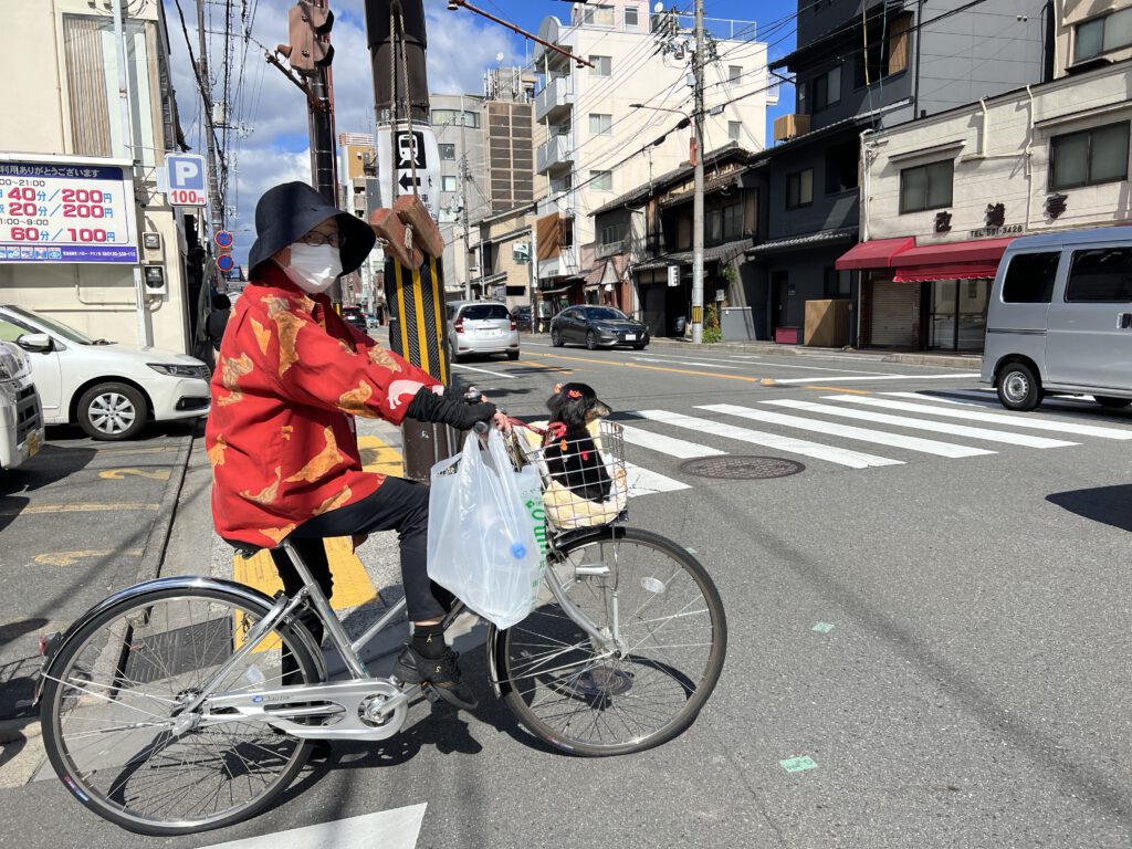 Japan 2022 Tokyo Osaka Kii Halbinsel Kyoto Tokyo