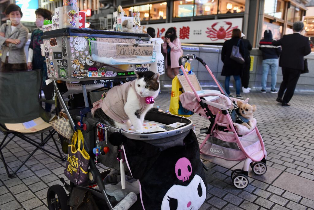 Japan 2022 Tokyo Osaka Kii Halbinsel Kyoto Tokyo