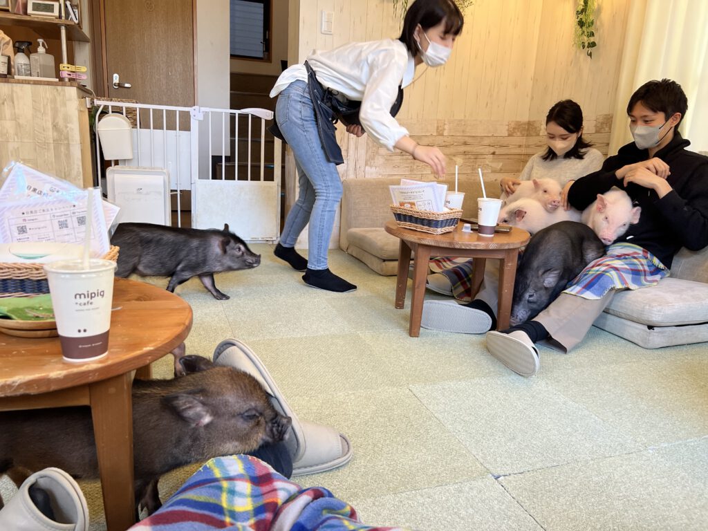 Japan 2022 Tokyo Osaka Kii Halbinsel Kyoto Tokyo