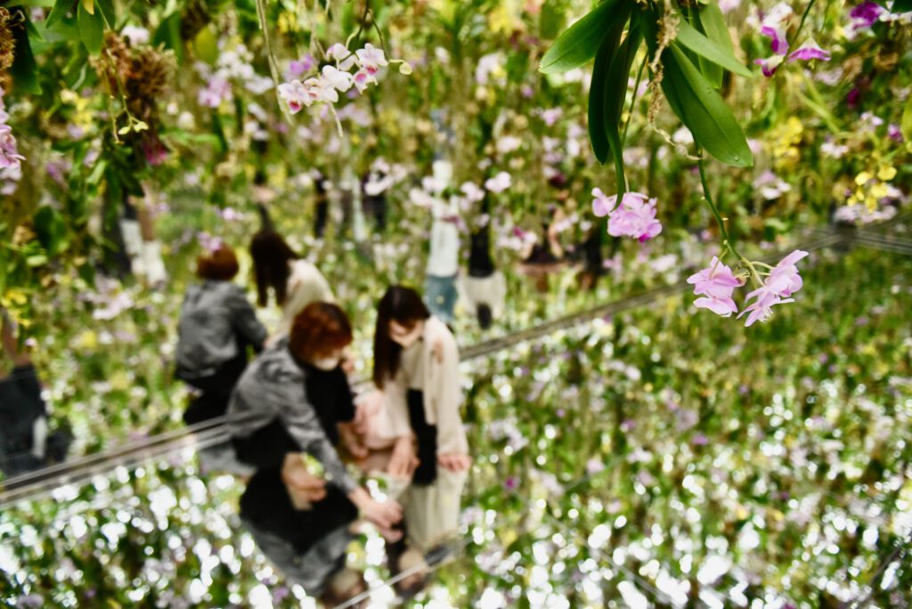 Japan 2022 Tokyo Osaka Kii Halbinsel Kyoto Tokyo