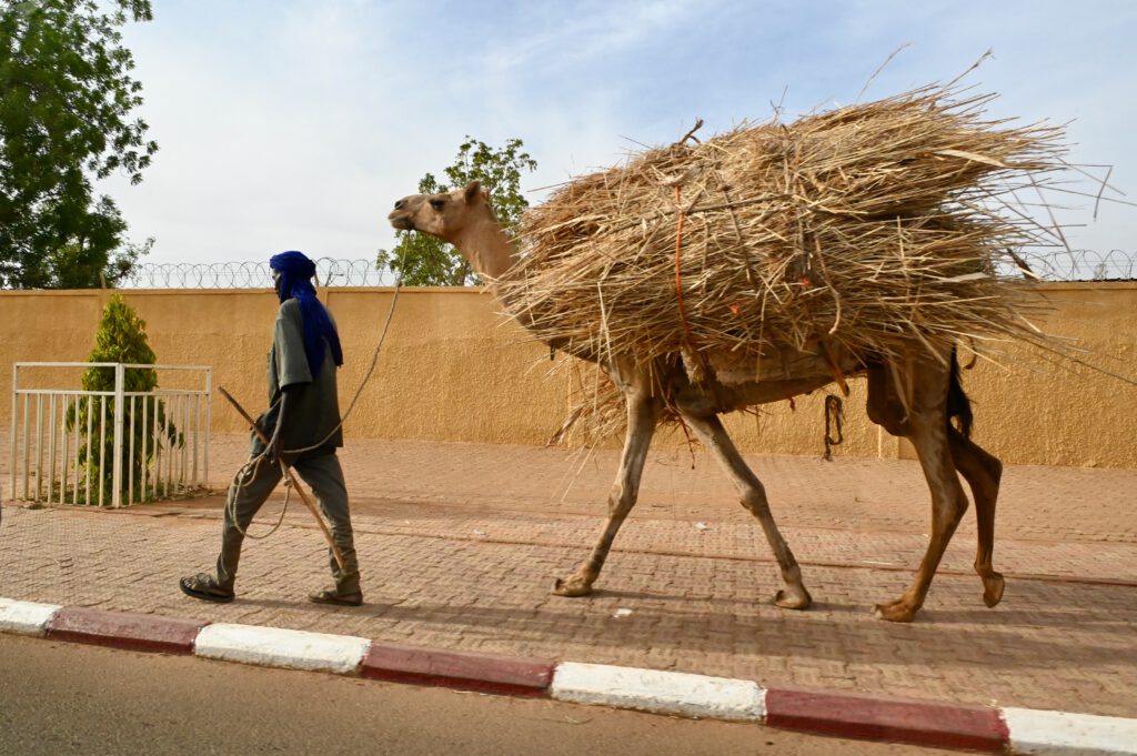 Niger 2023