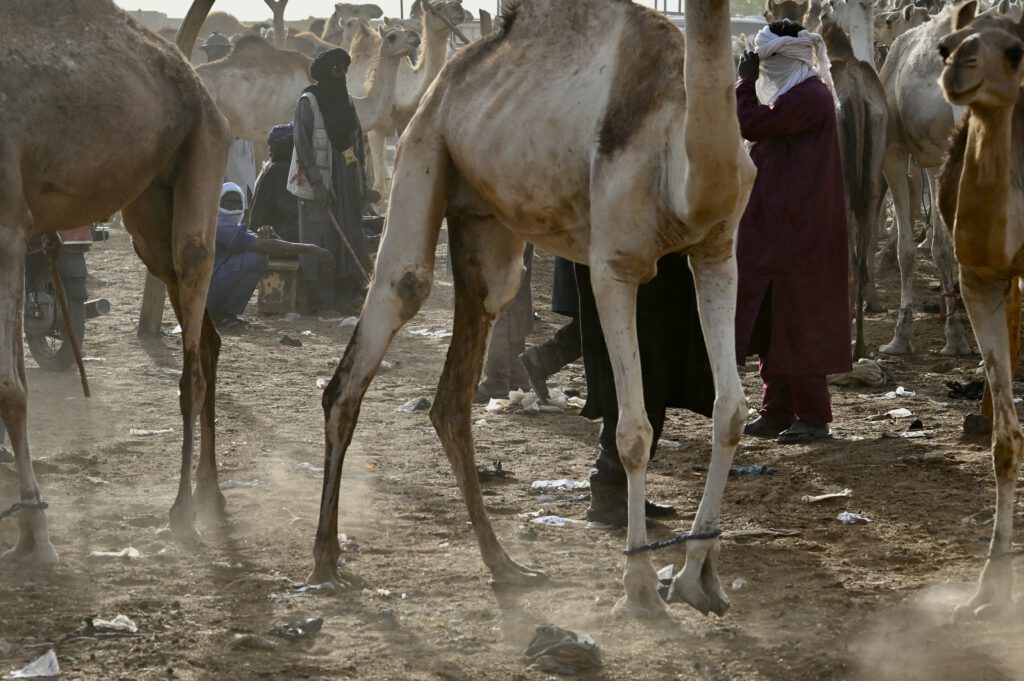 Niger 2023