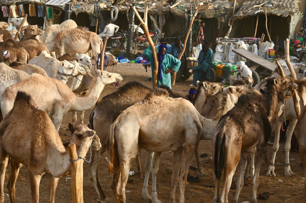 Niger 2023