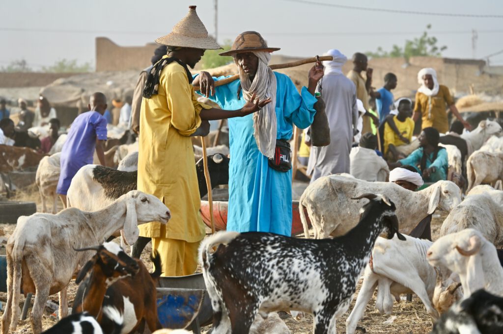 Niger 2023