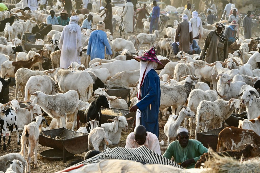 Niger 2023