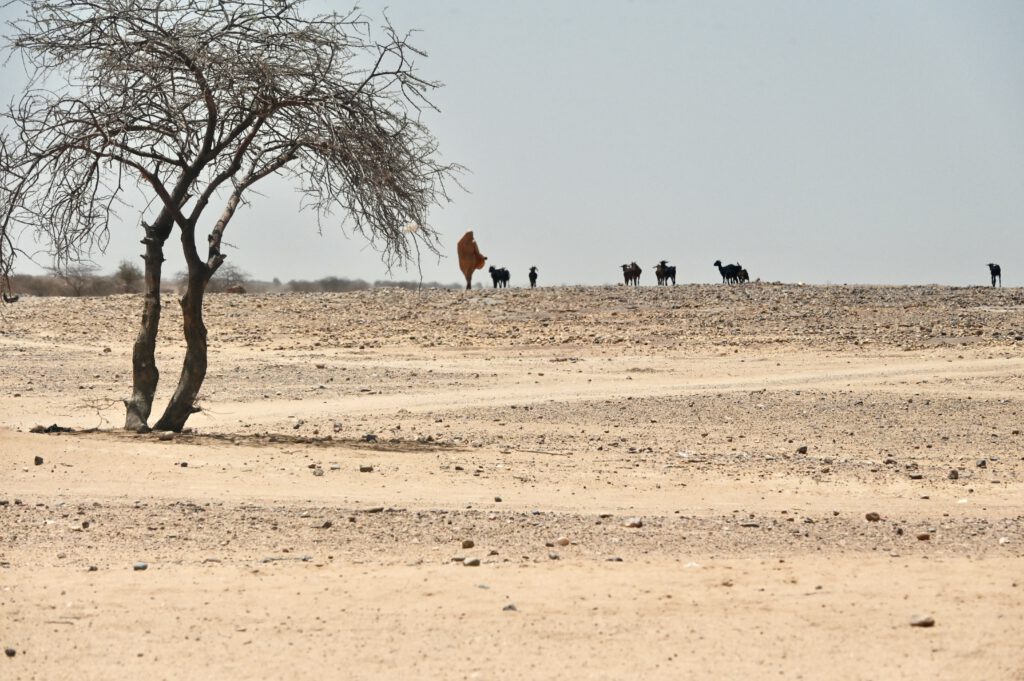 Niger 2023