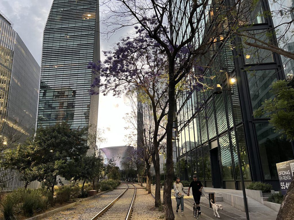 Mexiko 2023 CDMX inkl. Bo-Karneval und Kanzlei-Weihnachtsmarkt