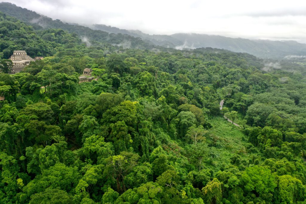Mexiko 2023 Catemaco Palenque Bonampak San Cristobal de las Casas Canon de Sumidero Tuxtla Gutierrez Entremares Hotel Chiapas Küste Oaxaca