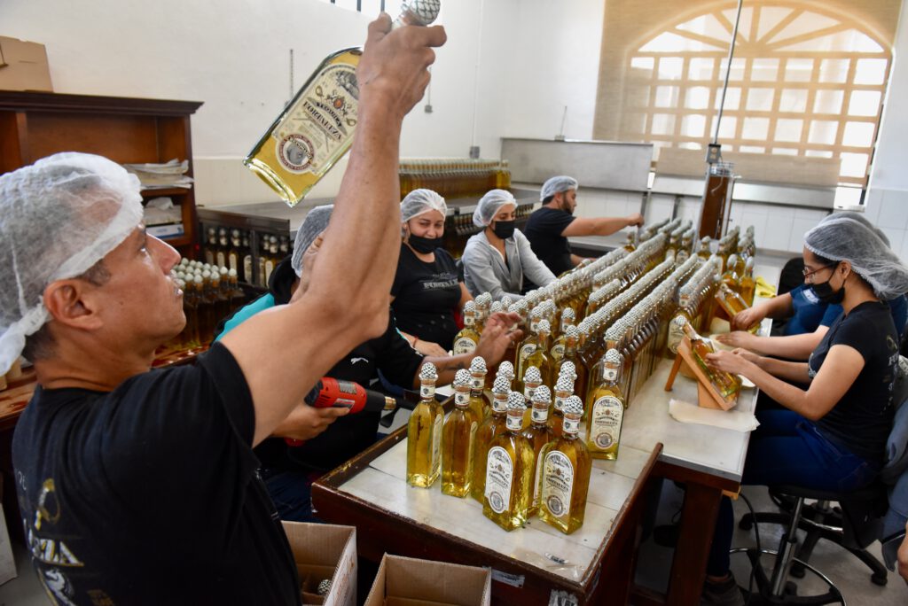 Mexiko 2023 Guadalajara Tequila Tlaquepaque Ajijic Lage de Chapala