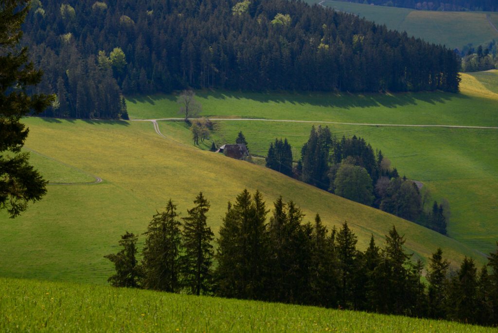 Deutschland 2019 Schwarzwald Berlin Reichenberg