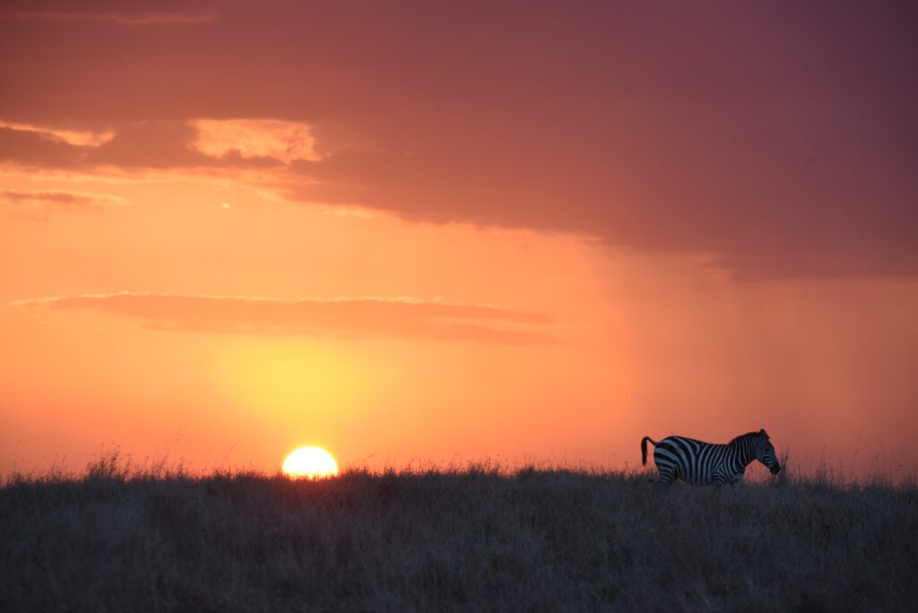 Kenia 2016