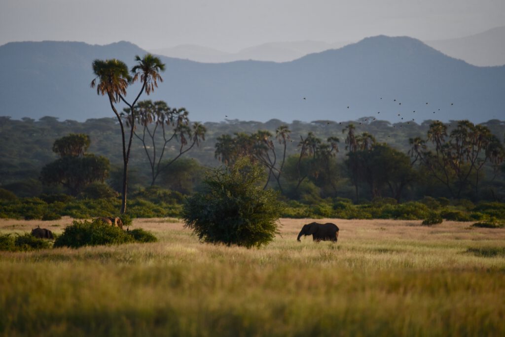 Kenia 2018 2019 Urlaub mit 160