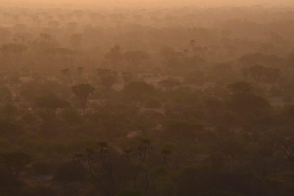 Kenia 2019 Luxus in Meru Samburu Laikipia