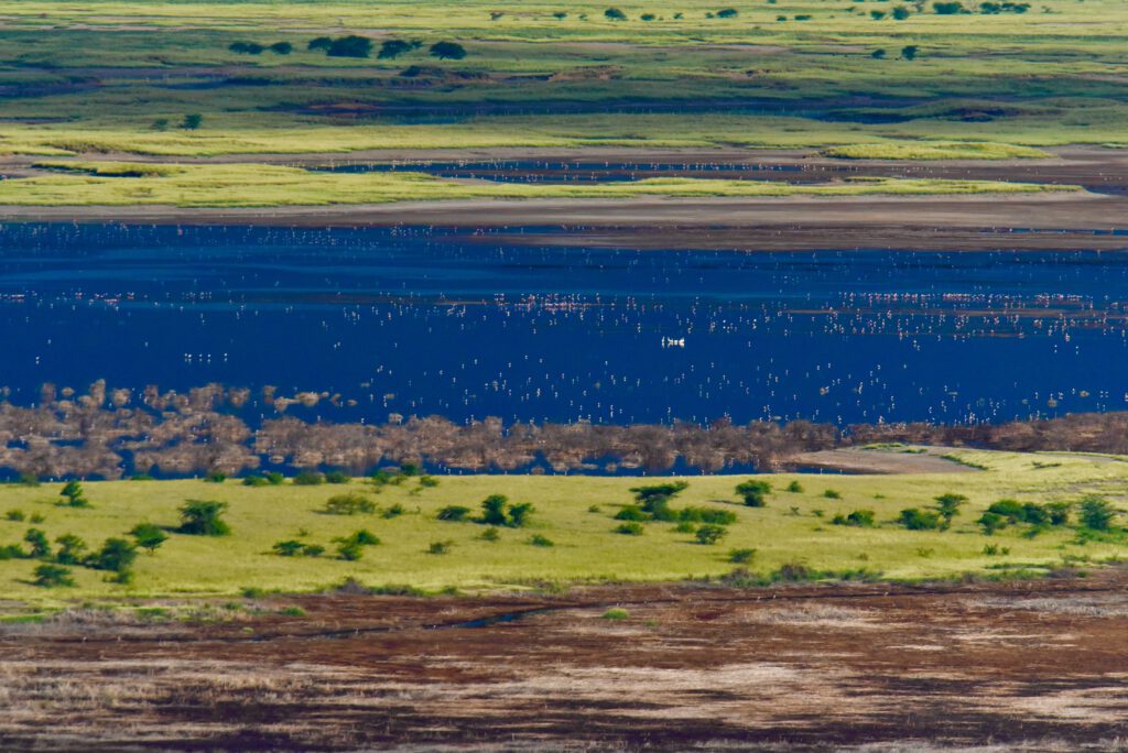 Kenia 2021 -Zw Lake Magadi & Lake Natron