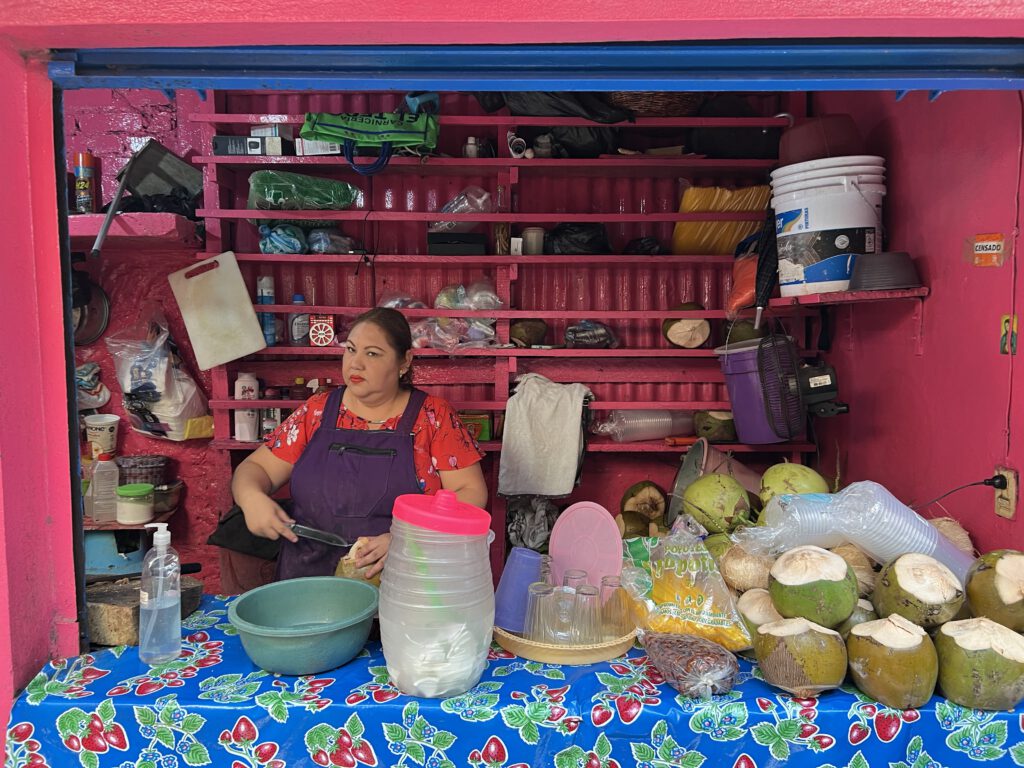 Mexiko 2023 Oster-Roadtrip nach Chivela via Puebla Arbol de Tule Mitla Hierve el Agua Mexcal-Ruta 190 Matias "Michelle" Romero Toros in Chivela Bahia de la Luna Oaxaca Mittwochs-Markt in Etla