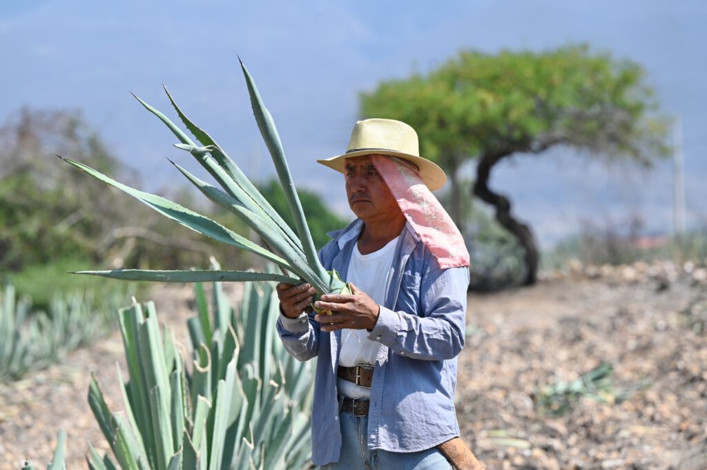 Mexiko 2023 Oster-Roadtrip nach Chivela via Puebla Arbol de Tule Mitla Hierve el Agua Mexcal-Ruta 190 Matias "Michelle" Romero Toros in Chivela Bahia de la Luna Oaxaca Mittwochs-Markt in Etla