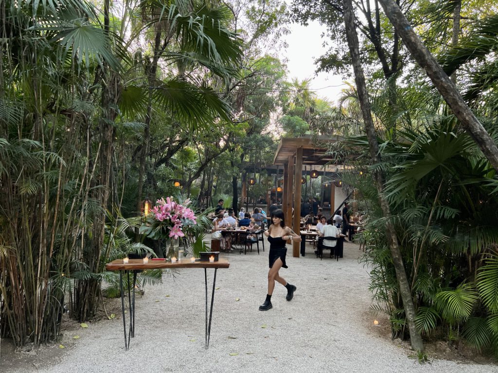 Mexiko 2023 mit Mama und Anna Teil 2 CDMX Merida Uxmal Bacalar Calakmul Corazon Cenote Tulum Gran Cenote Cancun