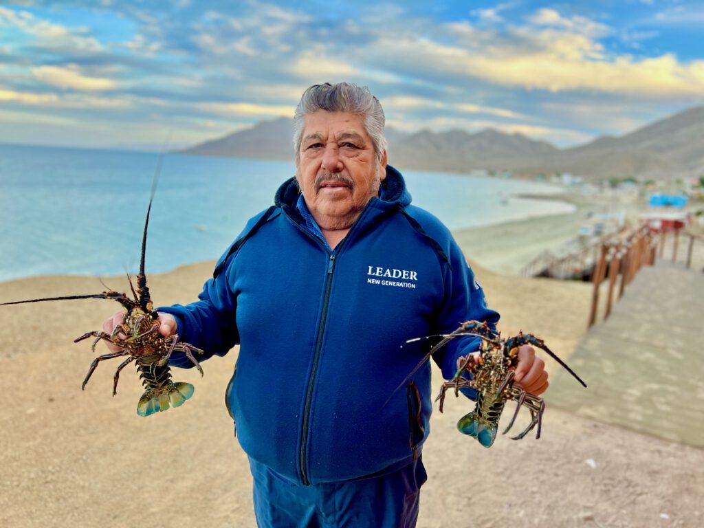 Mexiko 2024 Baja California: La Paz, Magdalena Bay, Loreto, Bahia de Concepcion, Mulegé , Guerrero Negro, San Quintin, Valle de hGuadeloupe , Tijuana