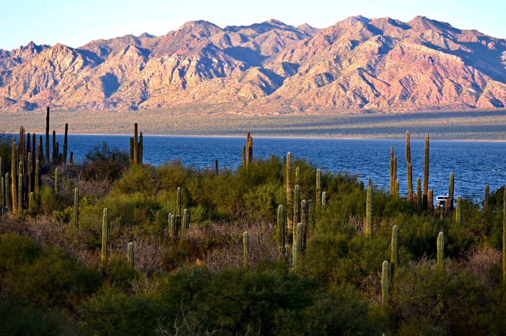 Mexiko 2024 Baja California: La Paz, Magdalena Bay, Loreto, Bahia de Concepcion, Mulegé , Guerrero Negro, San Quintin, Valle de hGuadeloupe , Tijuana