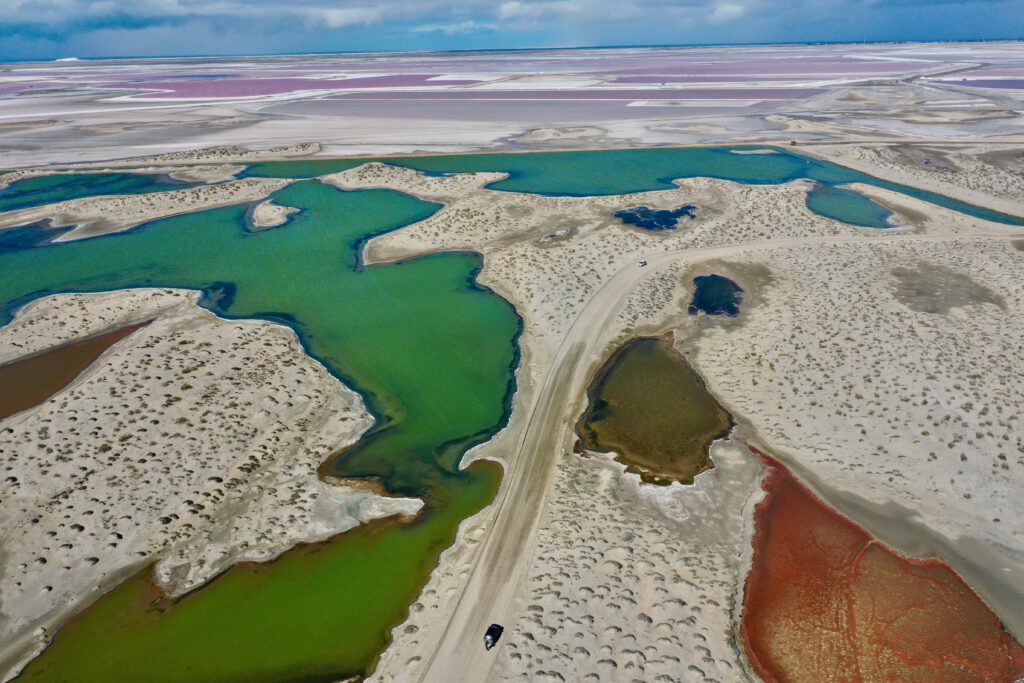 Mexiko 2024 Baja California: La Paz, Magdalena Bay, Loreto, Bahia de Concepcion, Mulegé , Guerrero Negro, San Quintin, Valle de hGuadeloupe , Tijuana